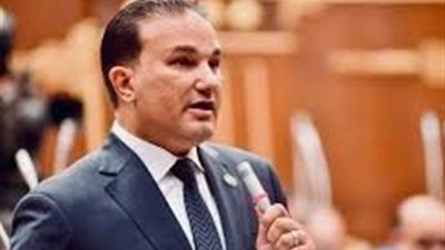 النائب تامر عبد الحميد: توجيهات الرئيس بمناقشة قانون الأحوال الشخصية تعزز استقرار الأسرة