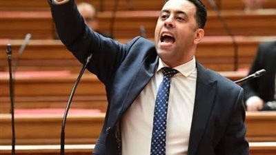 أحمد فرغلي: فشل التحول الرقمي أربك منظومة التأمينات وأضر بالمواطنين