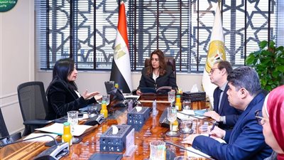 وزيرة التنمية المحلية تبحث مع اتحاد البنوك إطلاق تحالف تمويل الاستدامة