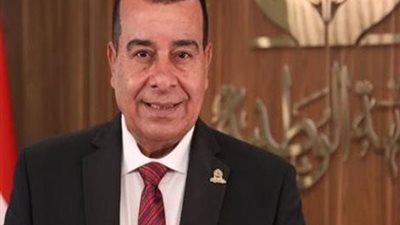 عضو بالشيوخ: توجيهات السيسي بقانون أحوال شخصية جديد لتعزيز استقرار الأسرة المصرية
