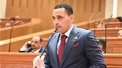 برلماني يقترح إعفاءات ضريبية للمصريين بالخارج لتعزيز تدفق الاستثمارات