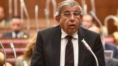 لا يقل على 2 جنيه.. عضو بالشيوخ يطالب بخفض سعر البنزين 