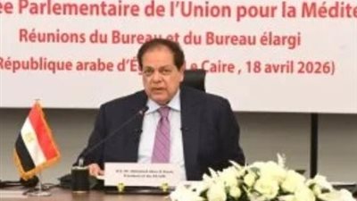 كفوا عن الحروب.. أبو العينين يؤكد أهمية العودة إلى مسار المفاوضات في القضايا الدولية والإقليمية