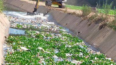 محافظ المنوفية: تطهير المساقي وترخيص مشروعات زراعية بالمنوفية لدعم الإنتاج والثروة الحيوانية