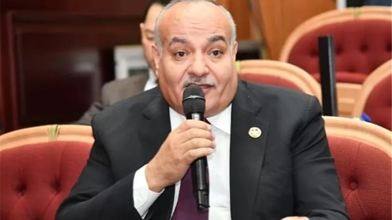 النائب محمد نوح: توجيهات الرئيس بشأن قوانين الأسرة تعكس أولوية الاستقرار المجتمعي