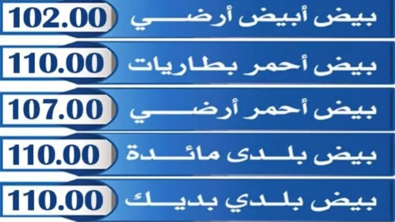 استقرار أسعار البيض في أعياد الربيع.. اعرف التفاصيل