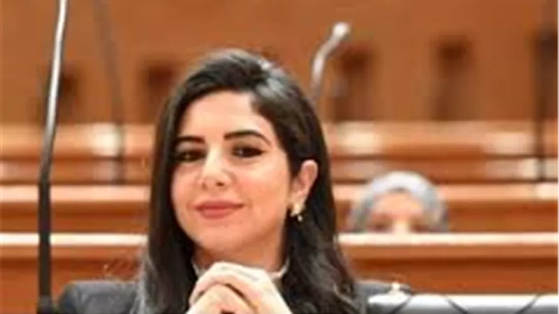 برلمانية: توجيهات الرئيس السيسى بسرعة حسم قوانين الأسرة انتصار للمجتمع
