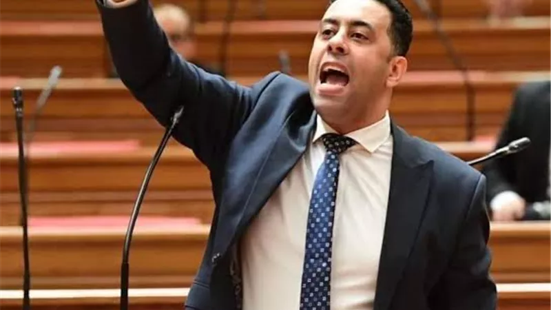 أحمد فرغلي: فشل التحول الرقمي أربك منظومة التأمينات وأضر بالمواطنين