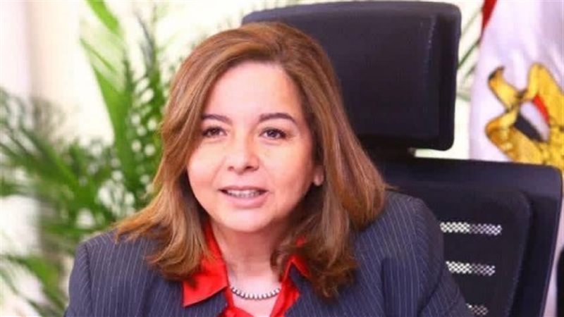 الرئيس التنفيذي لصندوق