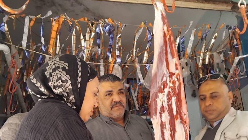 بيطرى المنيا