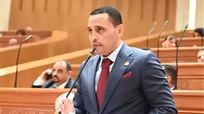 إسلام التلواني  