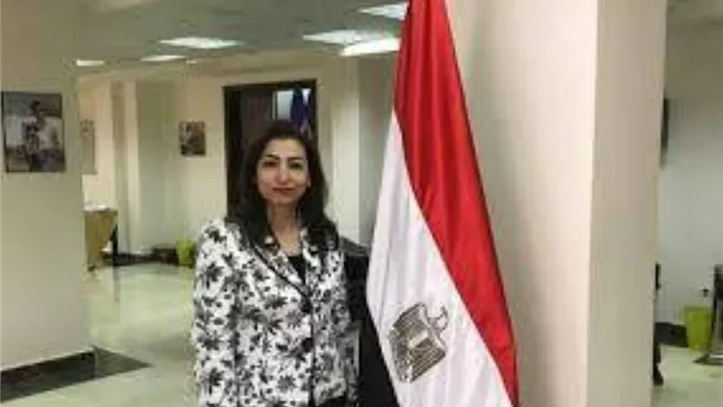 عبير احمد 