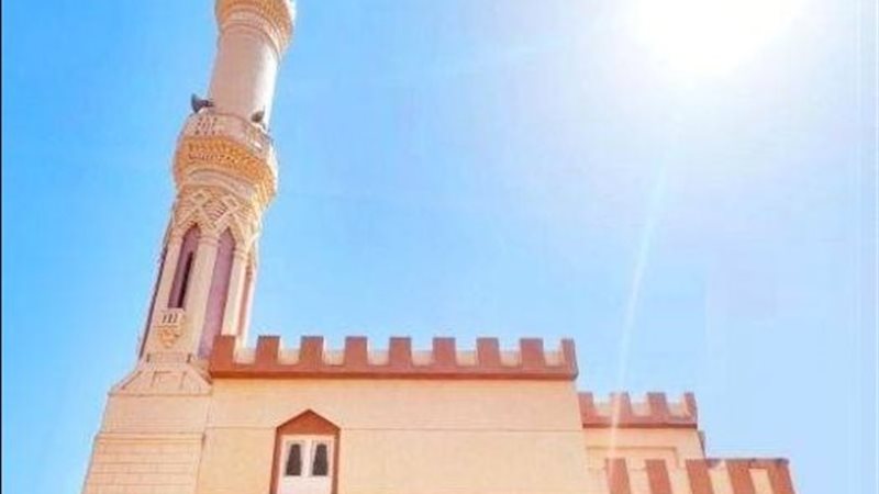 ارشيفية 