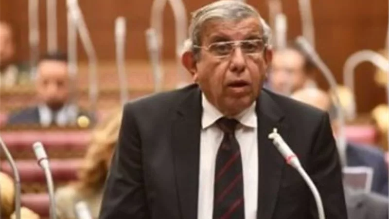 لا يقل على 2 جنيه.. عضو بالشيوخ يطالب بخفض سعر البنزين 