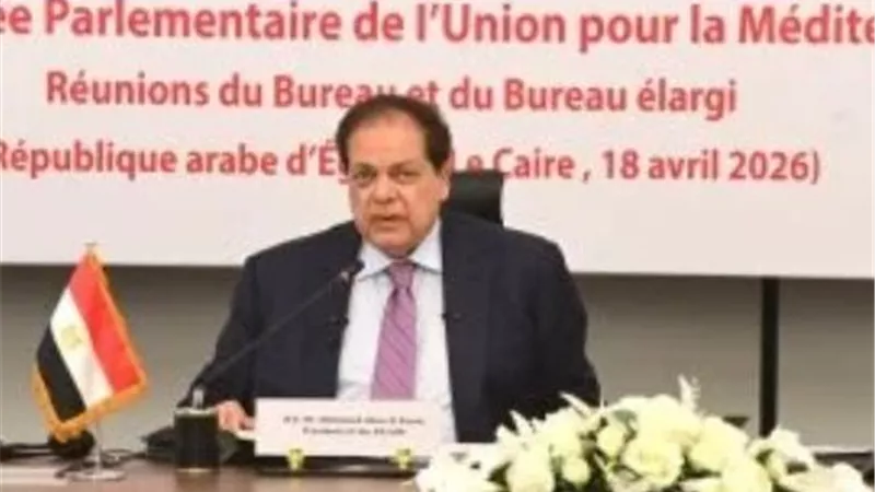 كفوا عن الحروب.. أبو العينين يؤكد أهمية العودة إلى مسار المفاوضات في القضايا الدولية والإقليمية