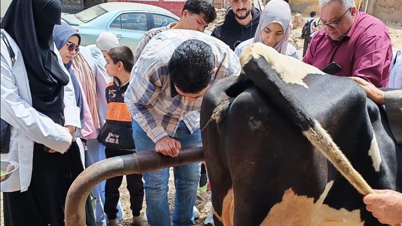 علاج 645 حيوان و3740