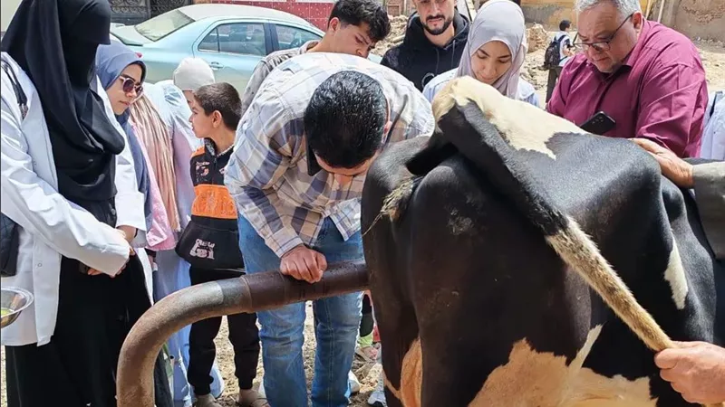 علاج 645 حيوان و3740 طائر بقافلة مشتركة بين الطب البيطري وجامعة كفر الشيخ