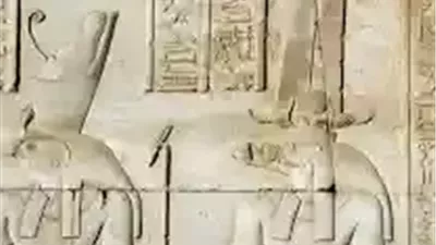 بعثة أثرية تكشف عن طقوس دفن نادرة ومقبرة من العصر الروماني بجبانة البهنسا