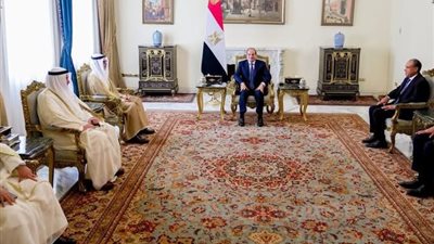 السيسي يشدد على الرفض القاطع لأي اعتداء على سيادة الكويت والدول العربية