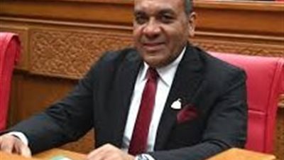 برلماني: لقاء الرئيس السيسي بوزير الخارجية الكويتي يعكس مكانة مصر على مستوى الأمن الإقليمي