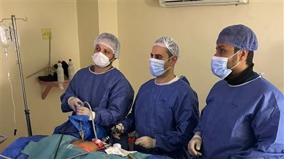 نجاح أول جراحة استئصال زائدة دودية بالمنظار في طوارئ مستشفى بلقاس بالدقهلية