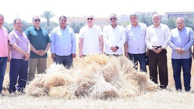 رئيس جامعة سوهاج: محصول القمح يشهد هذا العام زيادة في الإنتاجية وجودة عالية| صور 