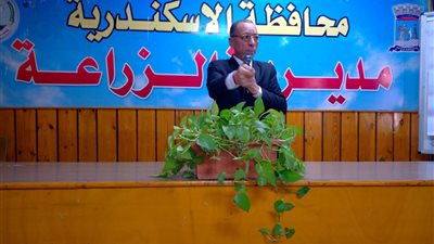زراعة الإسكندرية تؤكد جاهزية الصوامع وانطلاق موسم حصاد القمح خلال أيام