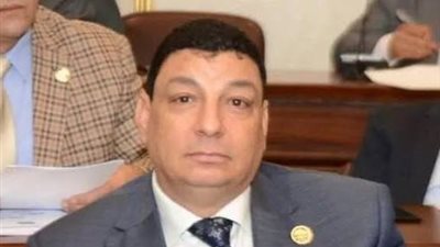 برلماني: الإجراءات المتخذة ضد الممتنعين عن سداد النفقة وسيلة ضغط قانونية 