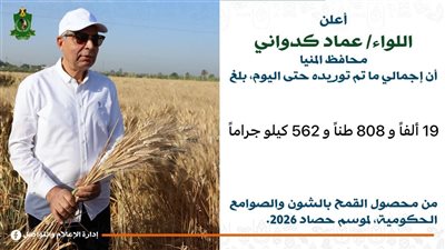 المنيا تعزز مخزونها الاستراتيجي.. توريد نحو 20 ألف طن قمح خلال أيام