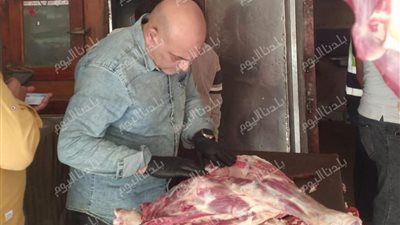 ضبط ذبيحة غير صالحة للاستهلاك الآدمي داخل محل جزارة ببنها