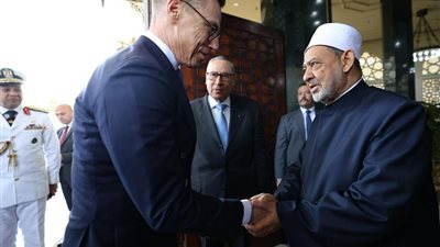 شيخ الأزهر ورئيس فنلندا: العالم في حاجة عاجلة إلى تهدئة وتفعيل القانون الدولي الإنساني