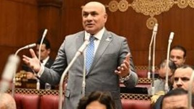 عضو بالشيوخ: الدولة وضعت خطة شاملة للنهوض بسيناء