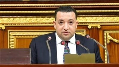 عضو بالبرلمان: الدولة ضخت استثمارات في سيناء  بـ700 مليار جنيه 