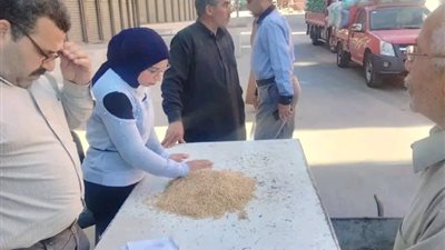 محافظ الدقهلية: توريد 3353 طن قمح.. وتوجيهات بتكثيف المتابعة على مدار الساعة