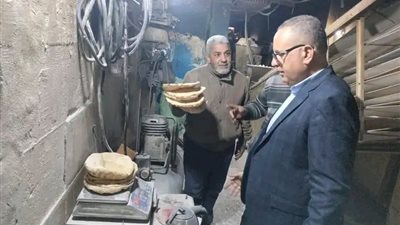 تموين الدقهلية: ضبط 32 طن مخلل فاسد و150 أسطوانة غاز وتحرير 142 محضرًا خلال يوم واحد