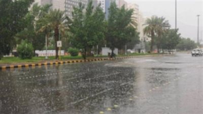 الأرصاد تحذر من أمطار رعدية ورياح مثيرة للرمال تضرب البلاد اليوم.. تفاصيل 