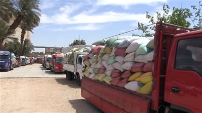 محافظ سوهاج يعلن توريد أكثر من 20 ألف طن قمح والالتزام بصرف المستحقات