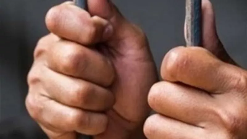 عقوبة التزوير في القانون المصري.. السجن المشدد ينتظر المخالفين