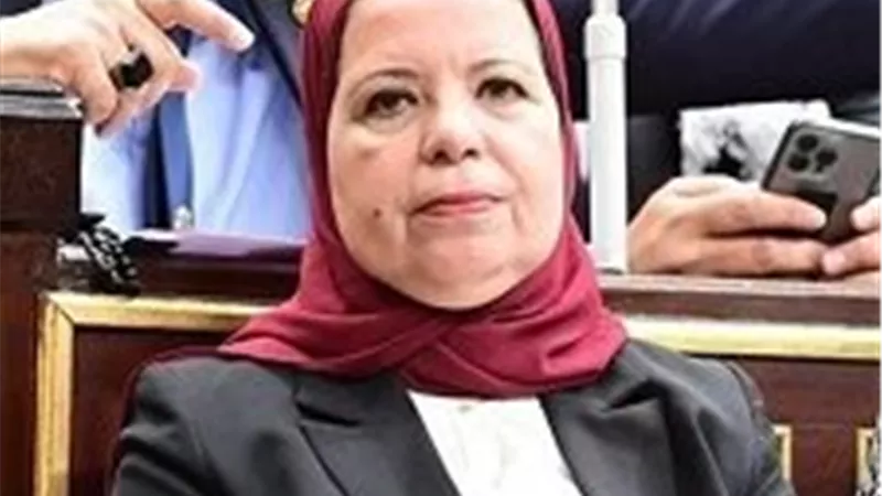 النائبة أمل عصفور: حل أزمة سيستم التأمينات قريبًا 