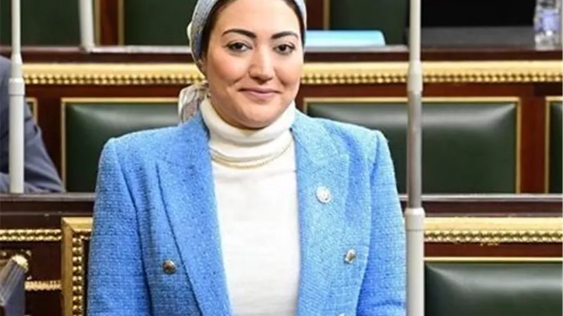 مقترح برلماني لتشكيل لجنة حكومية متخصصة تهدف إلى دراسة سبل توظيف حملة الماجستير والدكتوراه 