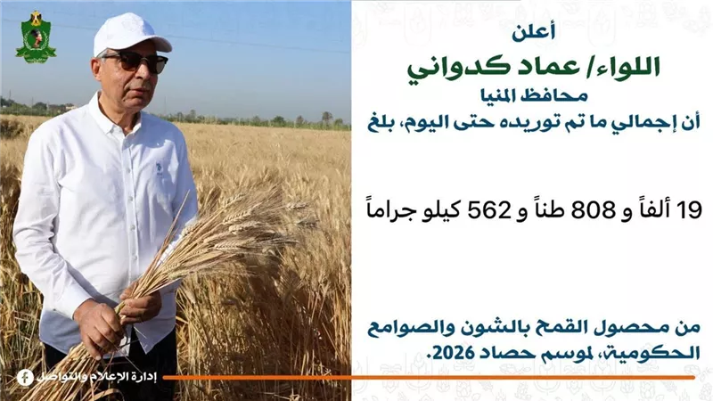 المنيا تعزز مخزونها الاستراتيجي.. توريد نحو 20 ألف طن قمح خلال أيام