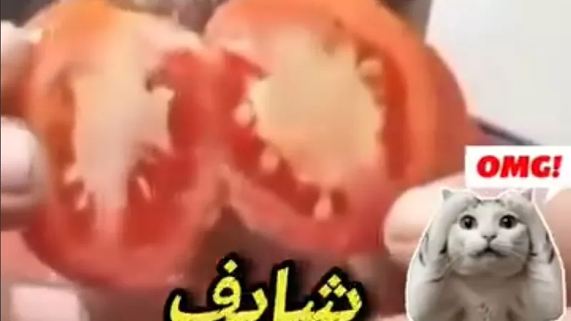 «الطماطم في دائرة الجدل».. فيديو متداول يثير مخاوف من مواد مسرّعة للنضج وتحذيرات من مخاطر محتملة