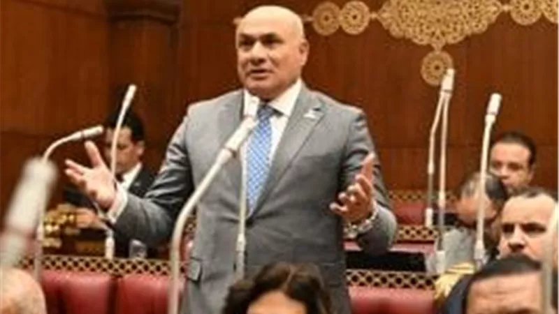 عضو بالشيوخ: الدولة وضعت خطة شاملة للنهوض بسيناء