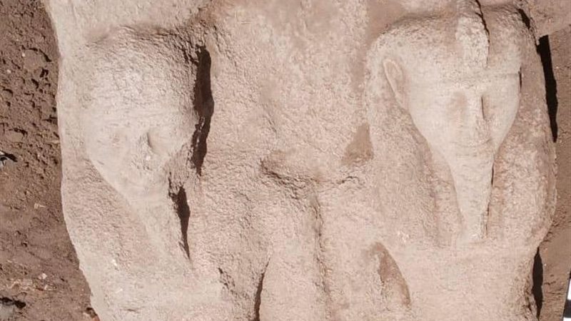 في إطار أعمال البعثة
