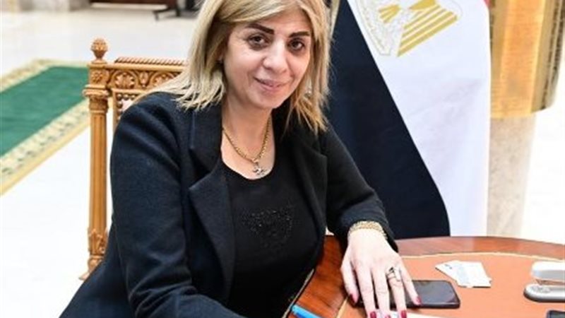 النائبة أميرة فؤاد