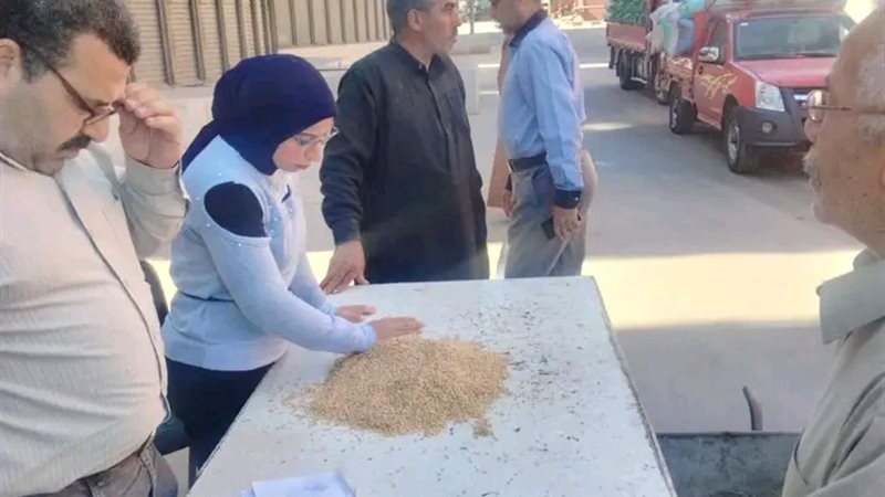 محافظ الدقهلية: توريد