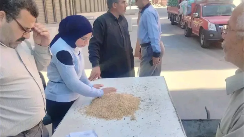 محافظ الدقهلية: توريد 3353 طن قمح.. وتوجيهات بتكثيف المتابعة على مدار الساعة