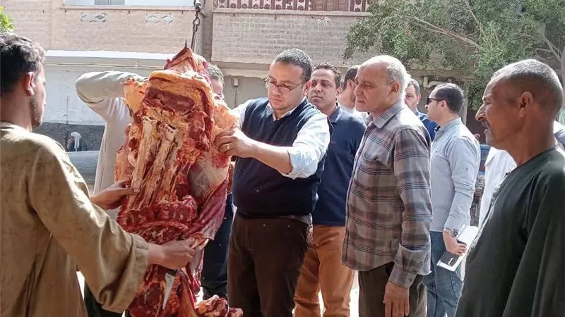 ضبط 277 كيلو لحوم فاسدة ومخالفة في حملات مكثفة بالمنيا