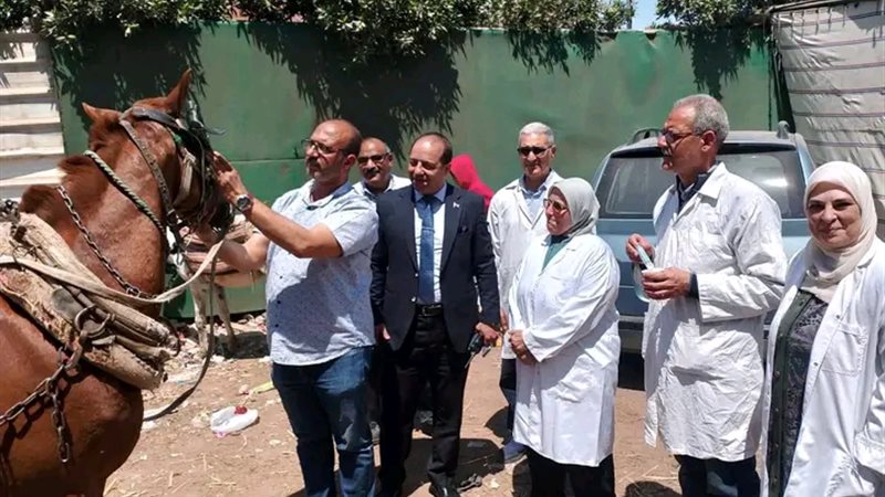محافظ الدقهلية يتابع