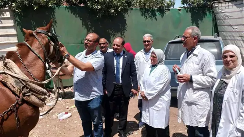 محافظ الدقهلية: علاج آلاف الحيوانات مجانًا ضمن مبادرة “حياة كريمة”